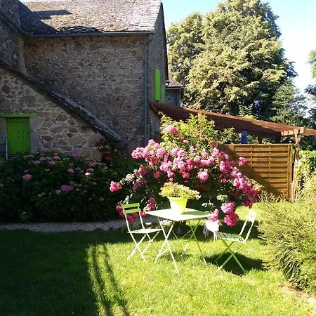 Vakantiehuis Manoir Les Hortensias Brandonnet