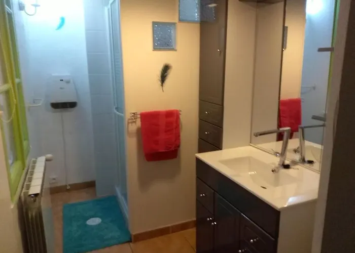 Сasa de vacaciones Manoir Les Hortensias Brandonnet